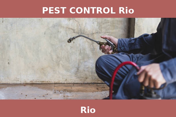 PEST CONTROL Rio